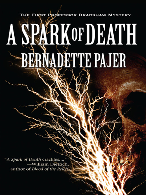 Title details for A Spark of Death by Bernadette Pajer - Wait list